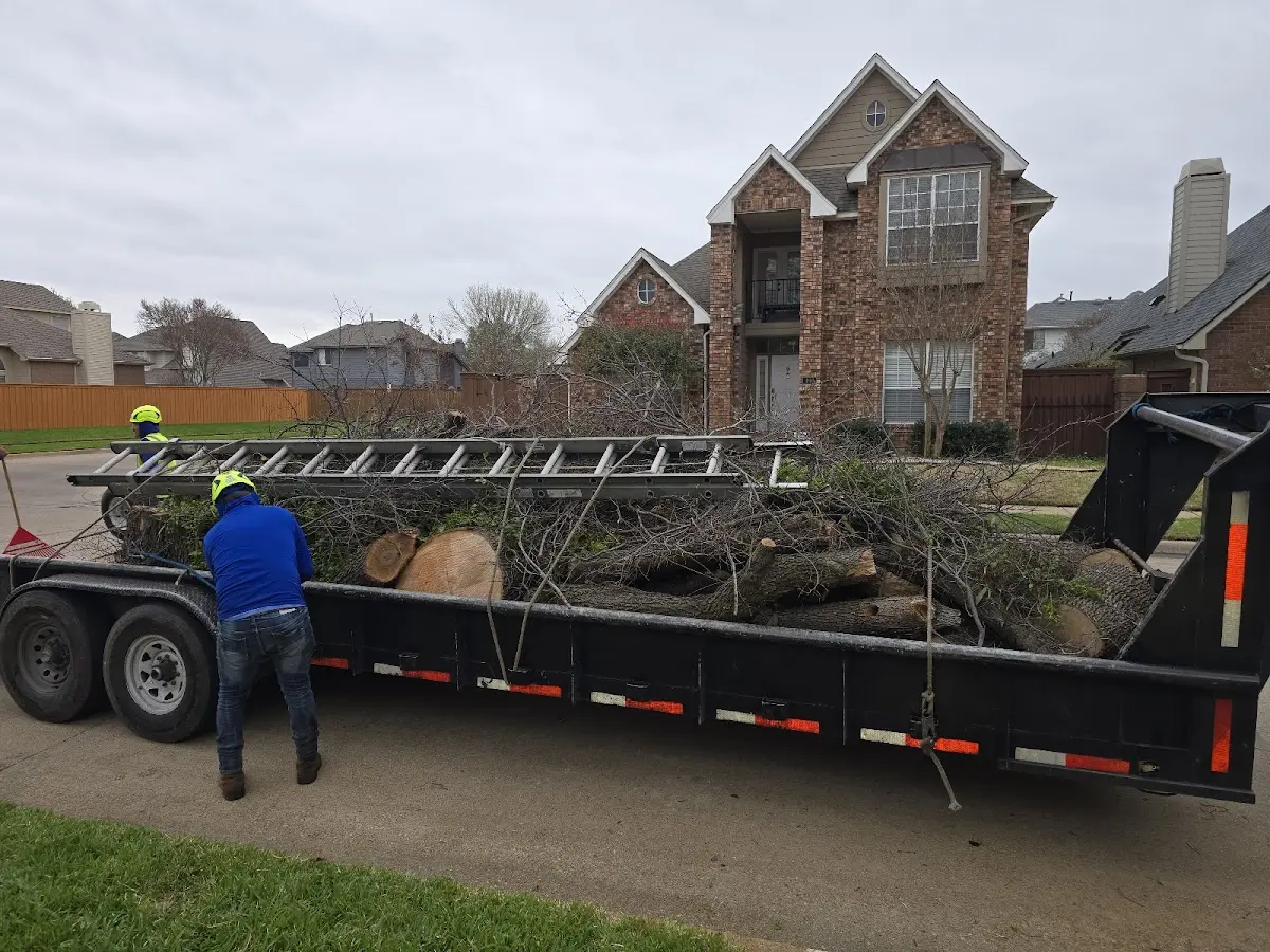 Expert Crown Reduction with proper safety equipment in Bemidji